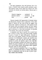 giornale/RML0032138/1884/v.2/00000286