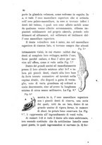 giornale/RML0032138/1885/unico/00000102
