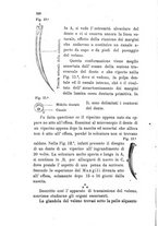 giornale/RML0032138/1885/unico/00000104