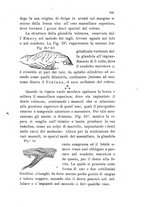 giornale/RML0032138/1885/unico/00000107