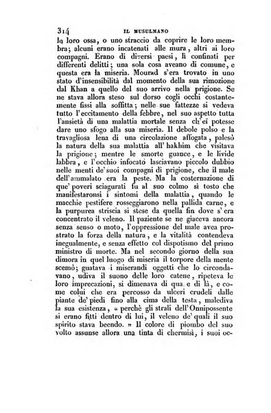 Indicatore, ossia Raccolta periodica di scelti articoli ...