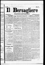 giornale/RML0033708/1877/febbraio/1
