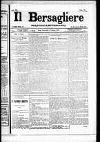 giornale/RML0033708/1877/marzo/81