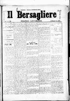 giornale/RML0033708/1878/febbraio/33