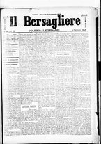 giornale/RML0033708/1878/febbraio/71