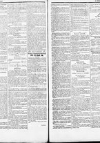 giornale/RML0033708/1884/agosto/24