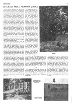 giornale/RML0034185/1931/unico/00000112