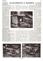 giornale/RML0034185/1931/unico/00000218