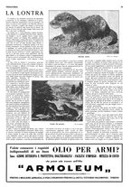 giornale/RML0034185/1931/unico/00000390