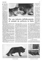 giornale/RML0034185/1931/unico/00000414