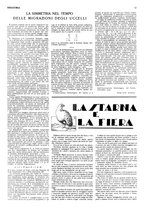 giornale/RML0034185/1931/unico/00000440