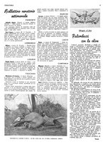 giornale/RML0034185/1936/unico/00000152