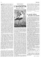 giornale/RML0034185/1937/unico/00000065