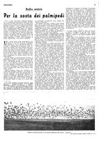 giornale/RML0034185/1937/unico/00000142
