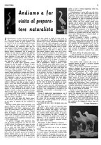 giornale/RML0034185/1937/unico/00000464