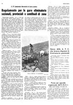 giornale/RML0034185/1937/unico/00000517