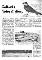 giornale/RML0034185/1937/unico/00000546