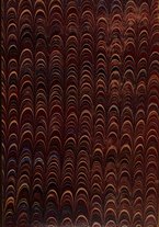 giornale/RML0064697/1907/v.23/00000001