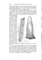 giornale/RML0071606/1893-1894/unico/00000312