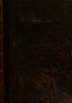 giornale/RML0148146/1880/v.2/00000001