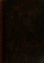 giornale/RML0148146/1881/v.2