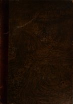 giornale/RML0148146/1881/v.3