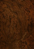 giornale/RML0148146/1889/v.1