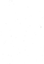 giornale/RML0148146/1891/v.2/00000026