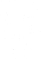 giornale/RML0148146/1891/v.3/00000006