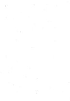 giornale/RML0148146/1891/v.3/00000008