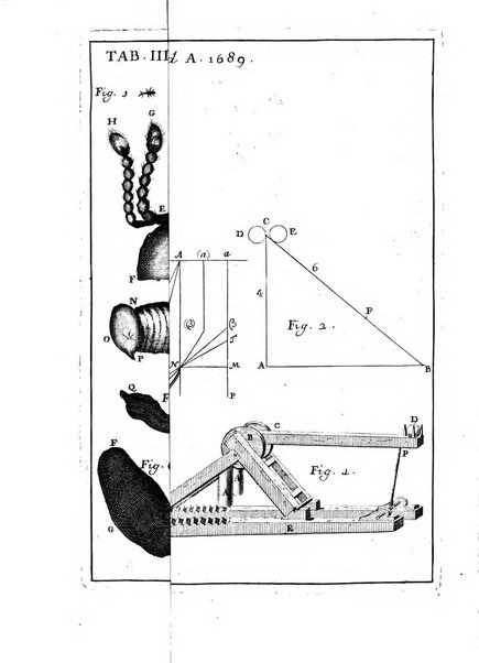 Opuscula omnia actis eruditorum lipsiensibus inserta, quae ad universam mathesim, physicam, medicinam, anatomiam, chirurgiam et philologiam pertinent; nec non epitomae si quae materia vel criticis animadversionibus celebriores