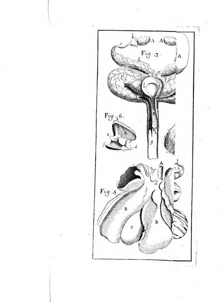 Opuscula omnia actis eruditorum lipsiensibus inserta, quae ad universam mathesim, physicam, medicinam, anatomiam, chirurgiam et philologiam pertinent; nec non epitomae si quae materia vel criticis animadversionibus celebriores