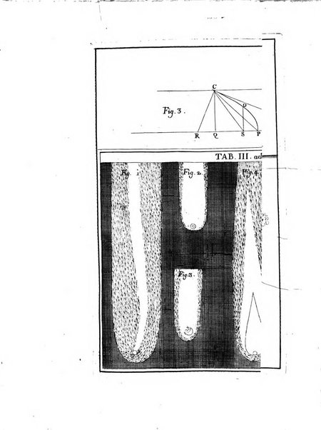 Opuscula omnia actis eruditorum lipsiensibus inserta, quae ad universam mathesim, physicam, medicinam, anatomiam, chirurgiam et philologiam pertinent; nec non epitomae si quae materia vel criticis animadversionibus celebriores