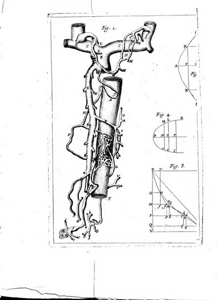 Opuscula omnia actis eruditorum lipsiensibus inserta, quae ad universam mathesim, physicam, medicinam, anatomiam, chirurgiam et philologiam pertinent; nec non epitomae si quae materia vel criticis animadversionibus celebriores