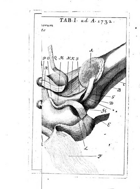 Opuscula omnia actis eruditorum lipsiensibus inserta, quae ad universam mathesim, physicam, medicinam, anatomiam, chirurgiam et philologiam pertinent; nec non epitomae si quae materia vel criticis animadversionibus celebriores