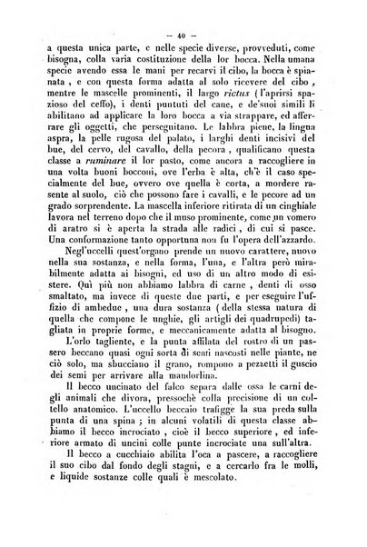 Cronichetta mensuale delle piu importanti moderne scoperte nelle scienze naturali e loro applicazioni alle arti ed industria