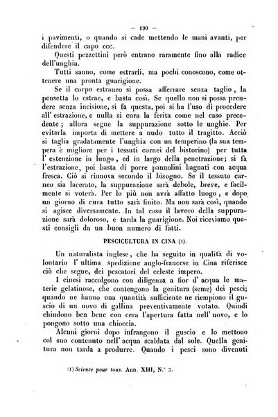 Cronichetta mensuale delle piu importanti moderne scoperte nelle scienze naturali e loro applicazioni alle arti ed industria