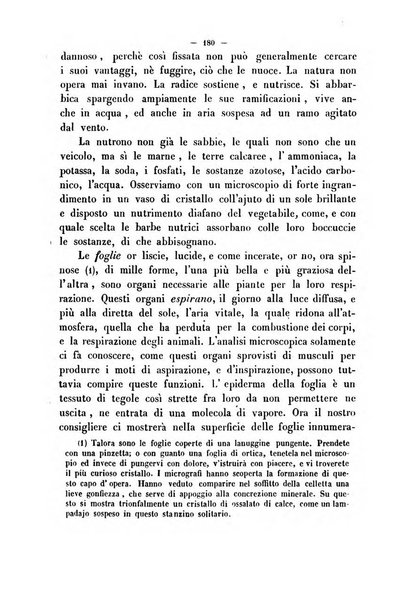 Cronichetta mensuale delle piu importanti moderne scoperte nelle scienze naturali e loro applicazioni alle arti ed industria