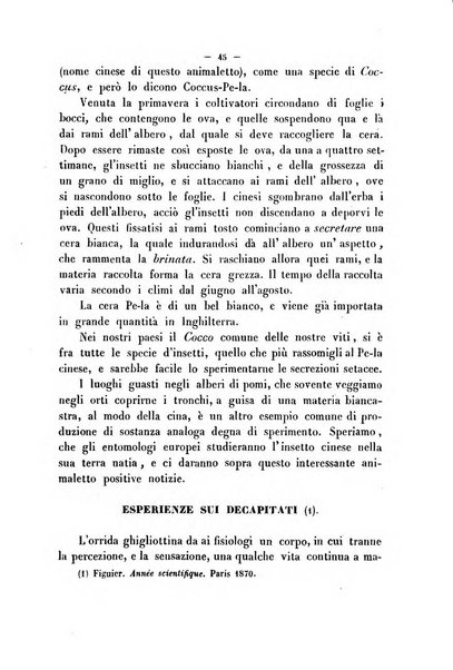 Cronichetta mensuale delle piu importanti moderne scoperte nelle scienze naturali e loro applicazioni alle arti ed industria