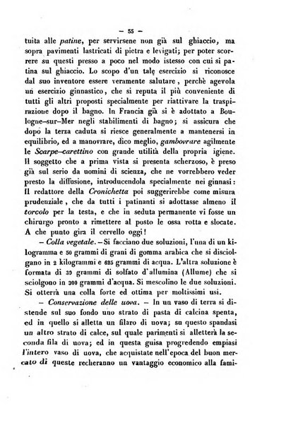 Cronichetta mensuale delle piu importanti moderne scoperte nelle scienze naturali e loro applicazioni alle arti ed industria