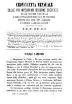 giornale/RMR0014169/1877/unico/00000297