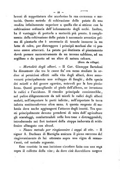 Cronichetta mensuale delle piu importanti moderne scoperte nelle scienze naturali e loro applicazioni alle arti ed industria