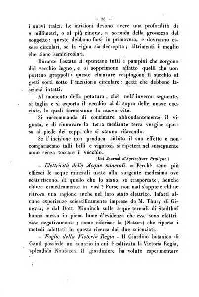 Cronichetta mensuale delle piu importanti moderne scoperte nelle scienze naturali e loro applicazioni alle arti ed industria