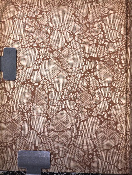 Bollettino ufficiale delle nomine, promozioni e destinazioni negli uffiziali dell'esercito italiano e nel personale dell'amministrazione militare