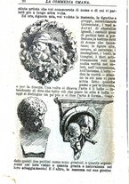 giornale/RMR0014507/1886/v.4/00000240