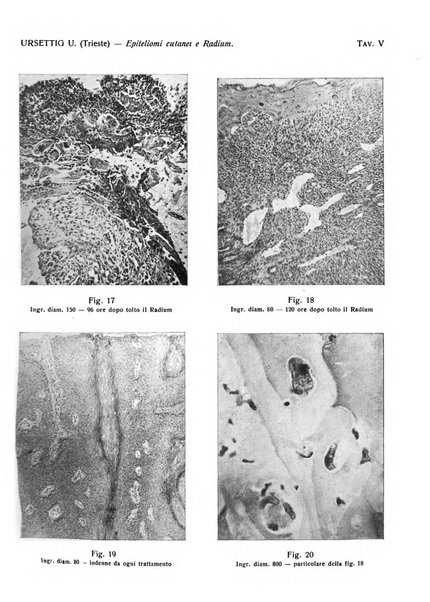 Giornale italiano di dermatologia e sifilologia