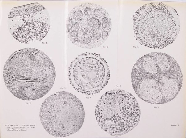 Giornale italiano di dermatologia e sifilologia