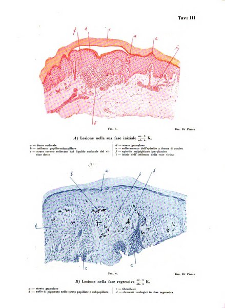 Giornale italiano di dermatologia e sifilologia