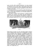 giornale/SBL0494928/1925/unico/00001460