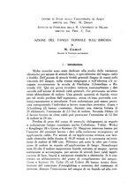 giornale/SBL0494928/1931/V.72.1/00000190